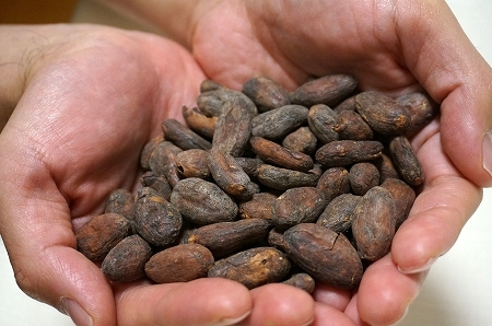 コロンビアのカカオ豆（シエラネバダ）