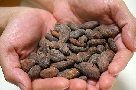 シエラネバダ産カカオ豆からチョコレートを作成