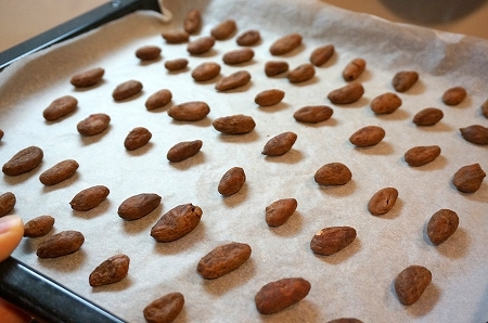 カカオ豆からチョコレートを作成！Bean to Bar Project