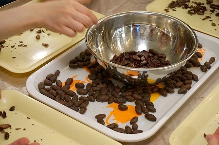 カカオ豆からチョコレートを手作り